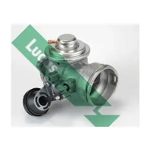 FDR183 LUCAS