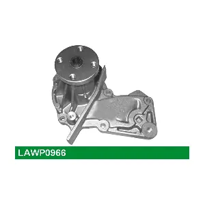 LUCAS LAWP0966