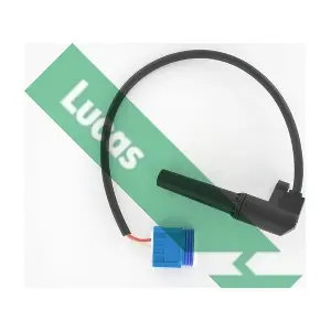 LUCAS SEB1724