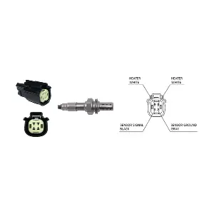 LEB5527 LUCAS