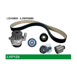 LUCAS LKP125