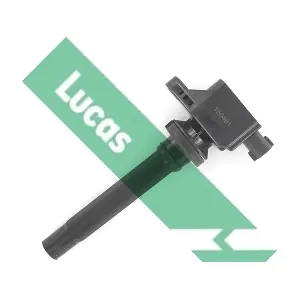 DMB5006 LUCAS