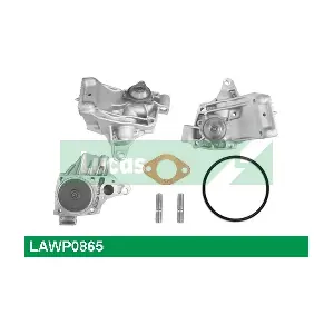LUCAS LAWP0865