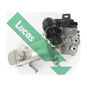 FDR408 LUCAS