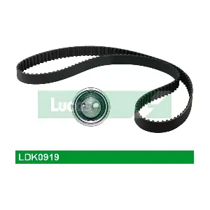 LDK0919 LUCAS