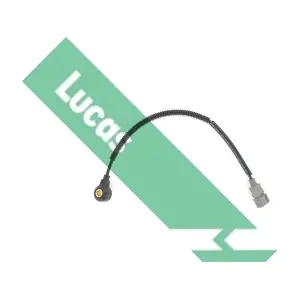SEB2012 LUCAS