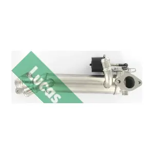 FDR598 LUCAS