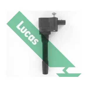 DMB5043 LUCAS
