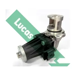 LUCAS FDR439