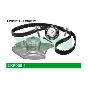 LUCAS LKP030-1
