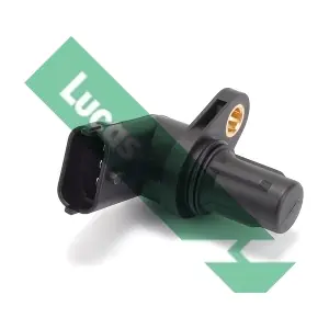 LUCAS SEB1864