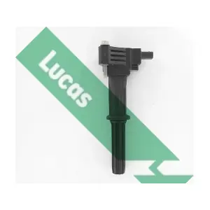 DMB5008 LUCAS