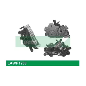 LUCAS LAWP1238