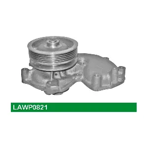 LUCAS LAWP0821