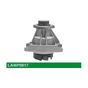 LUCAS LAWP0917
