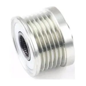 AF228411 AINDE