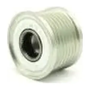 AF236675 AINDE