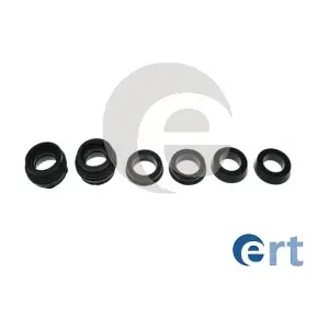 200482 ERT