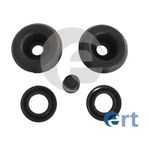 300213 ERT
