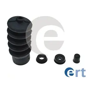 300309 ERT
