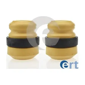 520038 ERT