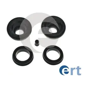 300455 ERT