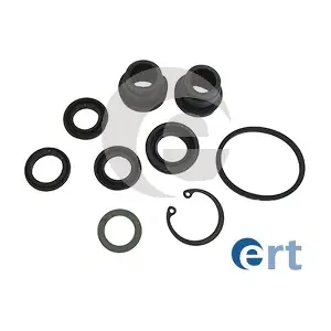 200295 ERT
