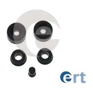 300055 ERT