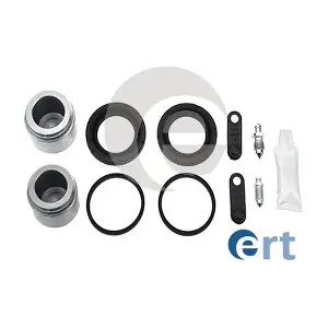 401981 ERT