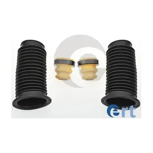520098 ERT