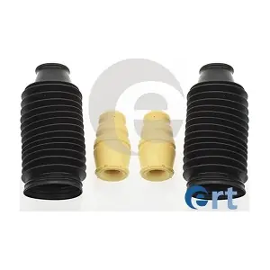 520121 ERT