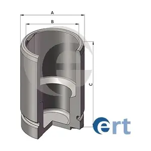 151586-C ERT