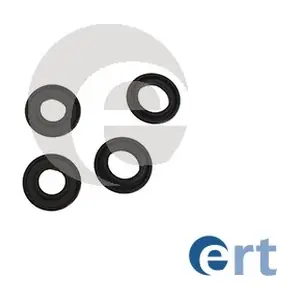 200379 ERT