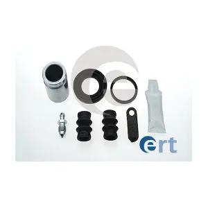 402538 ERT
