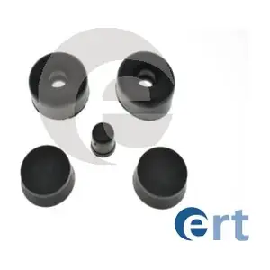 300595 ERT