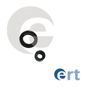 200289 ERT