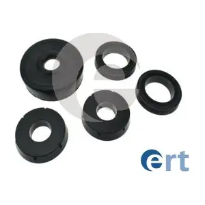 200256 ERT