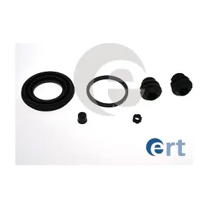 403097 ERT