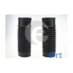 ERT 520161