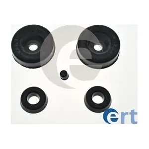 300020 ERT