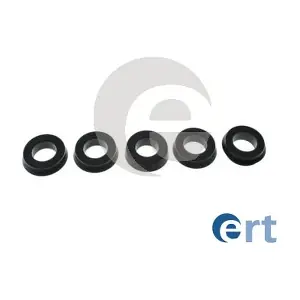 200456 ERT