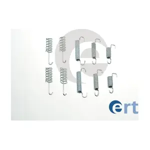310118 ERT