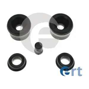 300376 ERT