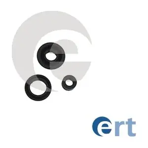 200298 ERT