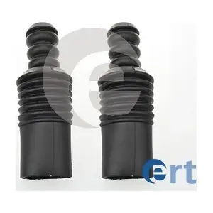 520096 ERT