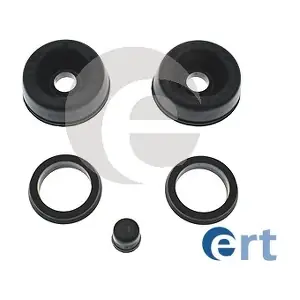300484 ERT