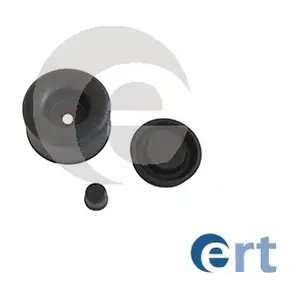 300493 ERT