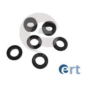 200442 ERT