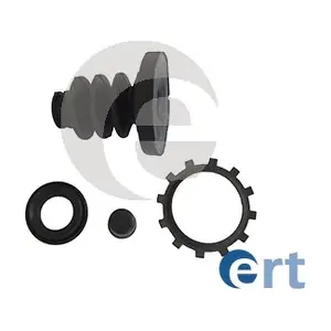 300193 ERT