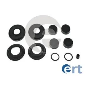 300389 ERT